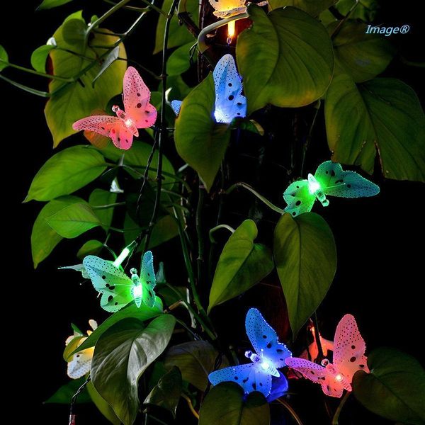 12pcs led fiber butterfly light solar waterproof garden christmas strings glowing butterfly christmas decor qw102
12pcs led fiber butterfly light solar waterproof garden christmas strings glowing butterfly christmas decor qw102