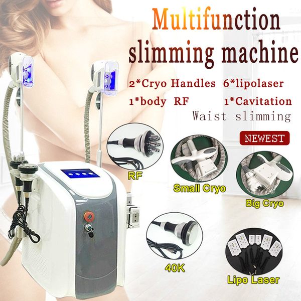 fat e body slimming cavitation 40k cavitation fast fat e slimming system body shap machine 2 fat e handle work together
fat e body slimming cavitation 40k cavitation fast fat e slimming system body shap machine 2 fat e handle work together