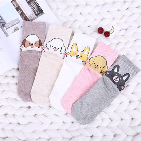 christmas cute animal spring summer socks harajuku funny kawaii winter streetwear autumn girl fashion ankle socks
christmas cute animal spring summer socks harajuku funny kawaii winter streetwear autumn girl fashion ankle socks