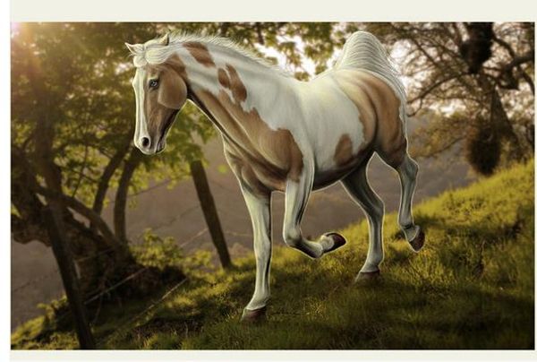 beautiful flower plaque horse art mural mural 3d wallpaper 3d wall papers for tv backdrop
beautiful flower plaque horse art mural mural 3d wallpaper 3d wall papers for tv backdrop