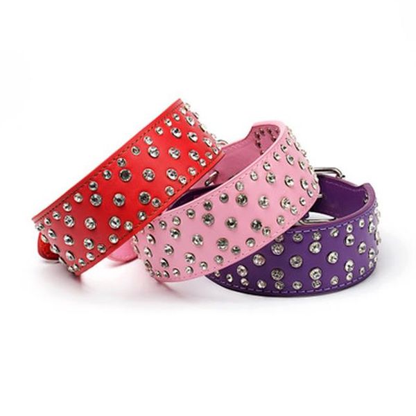 bling магазин собак harness green glow collari per кани bling rhinestone блеск кристалл собака ударная воротник near me bdegarden kvcja
bling магазин собак harness green glow collari per кани bling rhinestone блеск кристалл собака ударная воротник near me bdegarden kvcja