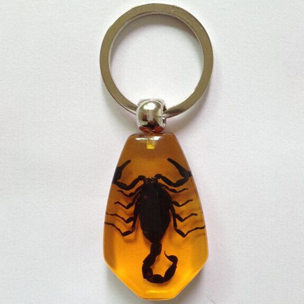 creative insect amber keychain car crystal insect keyring outdoor fashion key ring birthday gifts accessories for man women dbc dh1009
creative insect amber keychain car crystal insect keyring outdoor fashion key ring birthday gifts accessories for man women dbc dh1009
