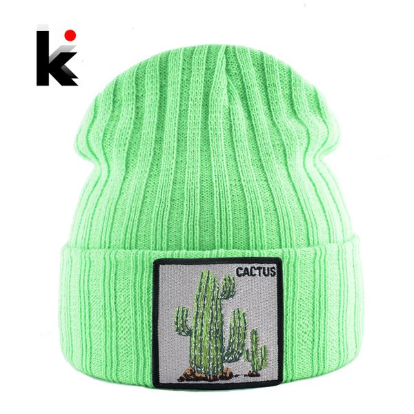 winter beanies hat woman new knitted solid skullies beanie men casual bonnet caps with cactus patch streetwear gorras warm hats
winter beanies hat woman new knitted solid skullies beanie men casual bonnet caps with cactus patch streetwear gorras warm hats
