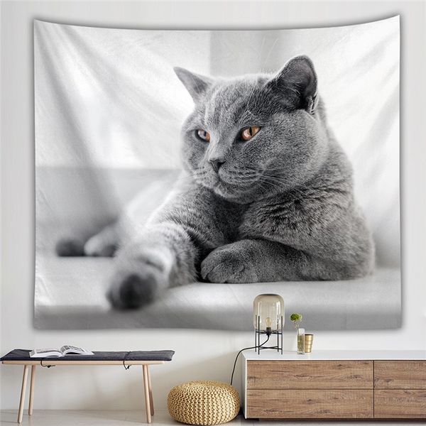 кошка животное pet гобелен искусство гобелен диван-кровать стол обложка home decor гобелен 3d стена карта висит
кошка животное pet гобелен искусство гобелен диван-кровать стол обложка home decor гобелен 3d стена карта висит
