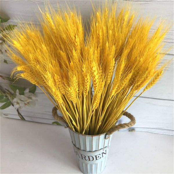 50 pcs natural decoration wheat ear garden plant wheat ear dry flower natural dry golden white color
50 pcs natural decoration wheat ear garden plant wheat ear dry flower natural dry golden white color