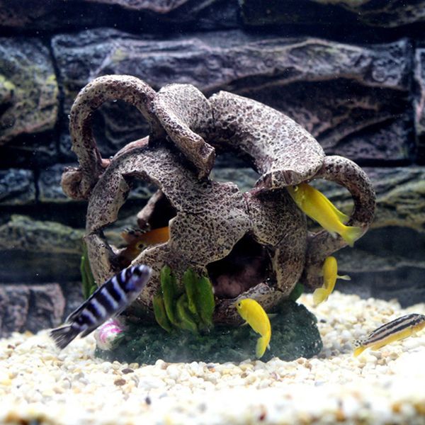 vooye aquarium resin broken cave jar vase rock fish tank aquarium ornament landscape décor for fish shrimp hippie shelter
vooye aquarium resin broken cave jar vase rock fish tank aquarium ornament landscape décor for fish shrimp hippie shelter