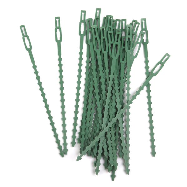 30pcs 16.5cm plastic cable ties gardening clips plant ties green 
30pcs 16.5cm plastic cable ties gardening clips plant ties green