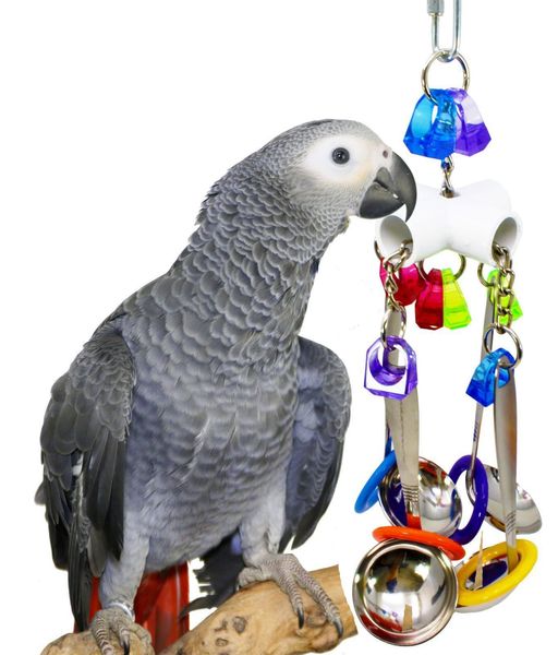 parrot gnaw toys bird toys four angle stainless steel parrot gnaw a soup spoon string will string
parrot gnaw toys bird toys four angle stainless steel parrot gnaw a soup spoon string will string