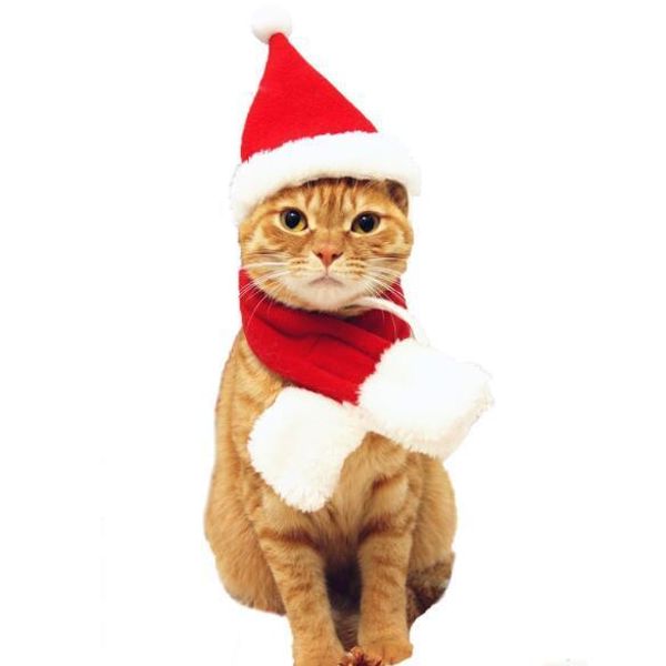 pet christmas hat and scarf christmas costume dog cat caps for puppy kitten small cats dogs pets accessories
pet christmas hat and scarf christmas costume dog cat caps for puppy kitten small cats dogs pets accessories