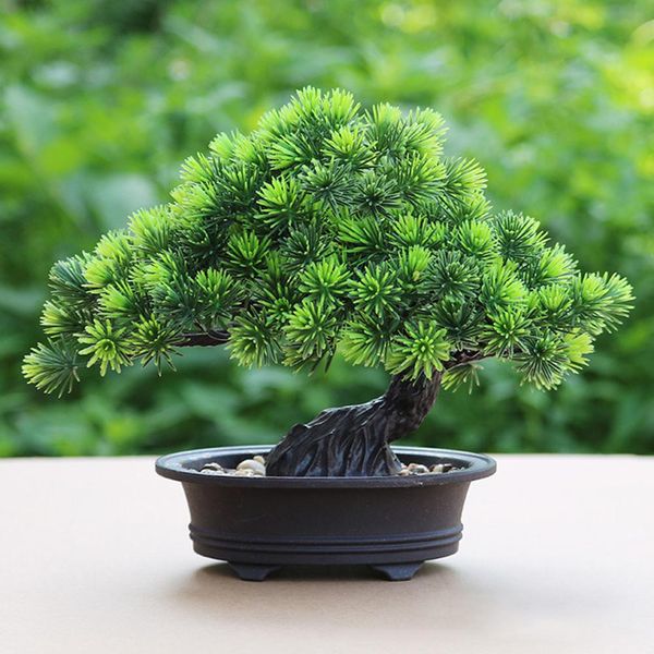 1pc artificial plants bonsai small green tree pot plants pine tree artificial potted plant ornament fake for home decor
1pc artificial plants bonsai small green tree pot plants pine tree artificial potted plant ornament fake for home decor