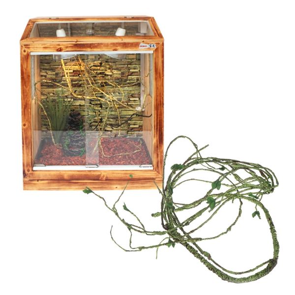 искусственный rattan reptile box case украшение lizard джунгли амфибии рептилии зеленые растения habitat декор
искусственный rattan reptile box case украшение lizard джунгли амфибии рептилии зеленые растения habitat декор