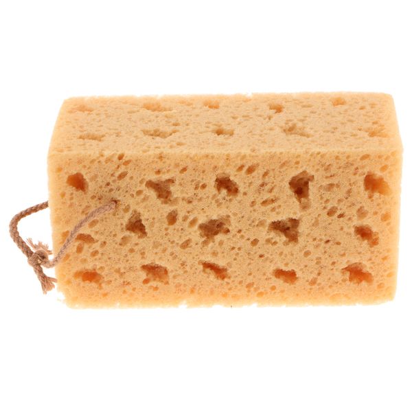 durable coral clean sponge washing pad for car/bathroom/window/floor/glass/ furniture cleaning
durable coral clean sponge washing pad for car/bathroom/window/floor/glass/ furniture cleaning