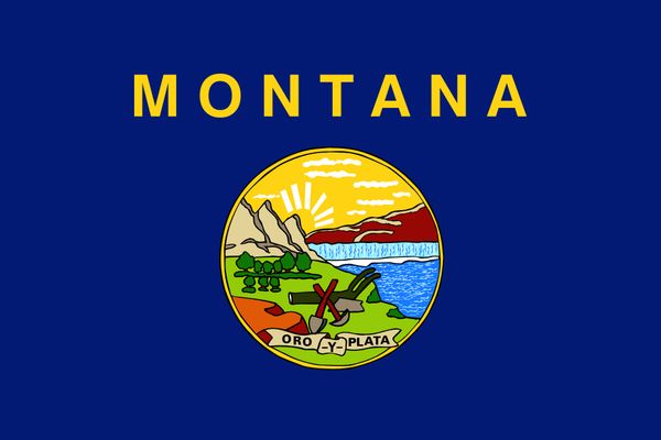 drop shipping americanmontana copy state flag 3x5ft usa polyester flag banner white sleeve and two grommets
drop shipping americanmontana copy state flag 3x5ft usa polyester flag banner white sleeve and two grommets