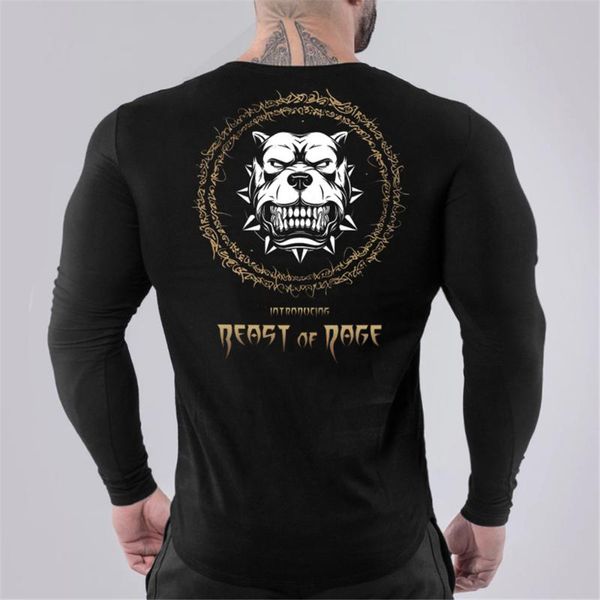 running sport long sleeve t-shirt men gym quick dry t shirt male fitness bodybuilding jogging training black tees clothing, Black;blue
running sport long sleeve t-shirt men gym quick dry t shirt male fitness bodybuilding jogging training black tees clothing, Black;blue