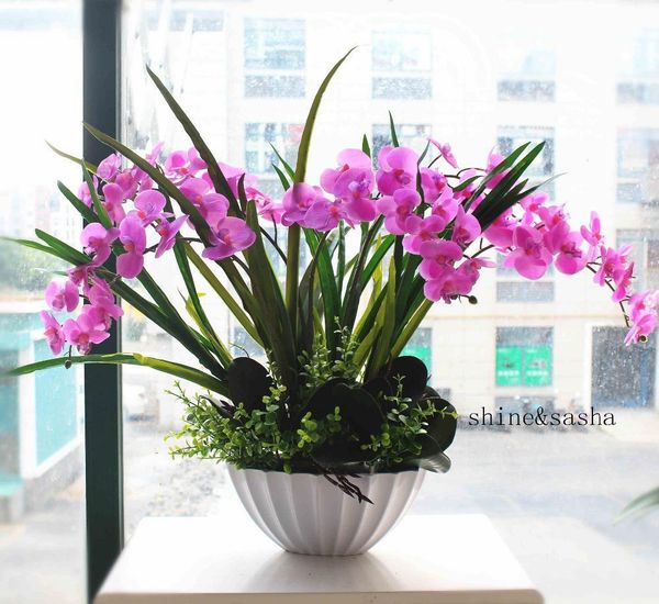 1 set flower +vase orchid phalaenopsis real touch flower with leaves artificial arrangement with vase
1 set flower +vase orchid phalaenopsis real touch flower with leaves artificial arrangement with vase
