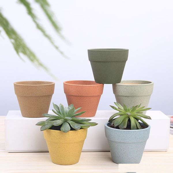 succulents pots with bamboo base decorative simple flower pots planters plant potted on the desk home decoration
succulents pots with bamboo base decorative simple flower pots planters plant potted on the desk home decoration