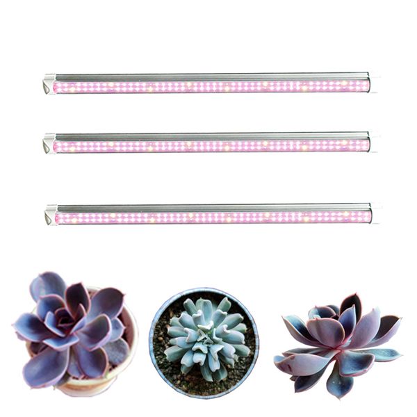 t8 led grow lights 1ft 2ft 3ft 4ft , double row t8 plant grow light strip, full spectrum sunlight replacement for indoor succulent plants
t8 led grow lights 1ft 2ft 3ft 4ft , double row t8 plant grow light strip, full spectrum sunlight replacement for indoor succulent plants