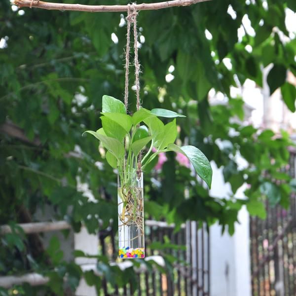 clear wall hanging flower vase glass hydroponics planter pot transparent hanging flower bottle home ornament decoration
clear wall hanging flower vase glass hydroponics planter pot transparent hanging flower bottle home ornament decoration