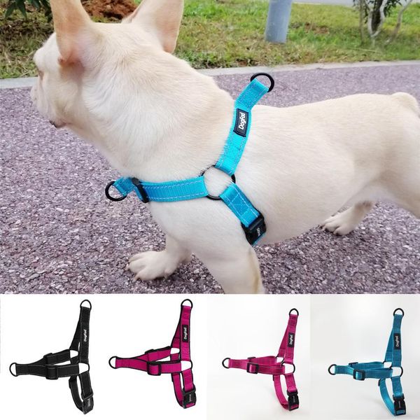 easy walking dog harness nylon adjustable dog harness for small medium large two leash attachments running training harness
easy walking dog harness nylon adjustable dog harness for small medium large two leash attachments running training harness