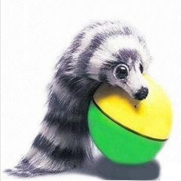 nutria электрическая игрушка beaver ball pet weasel забавный моторизованный rolling ball появляется jump moving живая игрушка beaver chases
nutria электрическая игрушка beaver ball pet weasel забавный моторизованный rolling ball появляется jump moving живая игрушка beaver chases