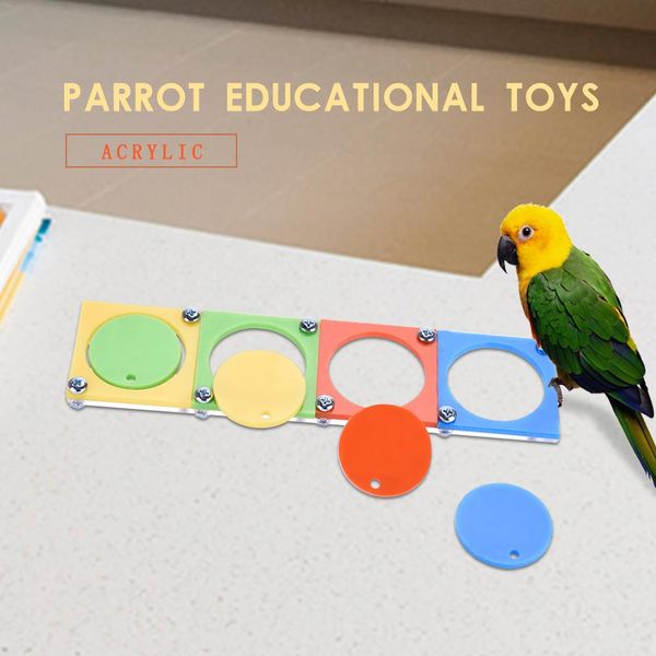 акриловая обучение птица игрушки parrot развивающие игрушки птица творческий головоломки обучение аксессуары случайный цвет доставка
акриловая обучение птица игрушки parrot развивающие игрушки птица творческий головоломки обучение аксессуары случайный цвет доставка