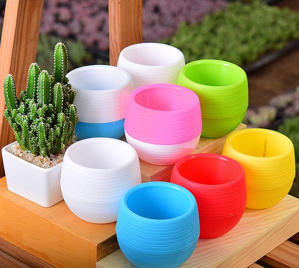 2020 korean succulents small flower mini stone pill pots rainbow pots pp resin plastic lazy pots
2020 korean succulents small flower mini stone pill pots rainbow pots pp resin plastic lazy pots