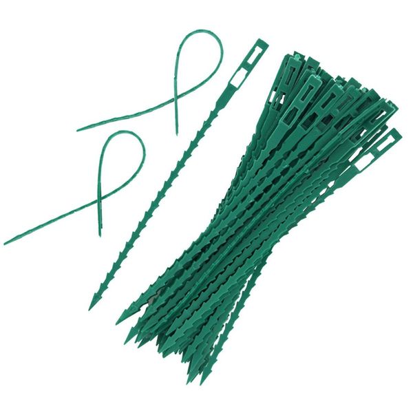 50pcs/100pcs adjustable plastic plant cable ties reusable cable ties for garden tree climbing support
50pcs/100pcs adjustable plastic plant cable ties reusable cable ties for garden tree climbing support