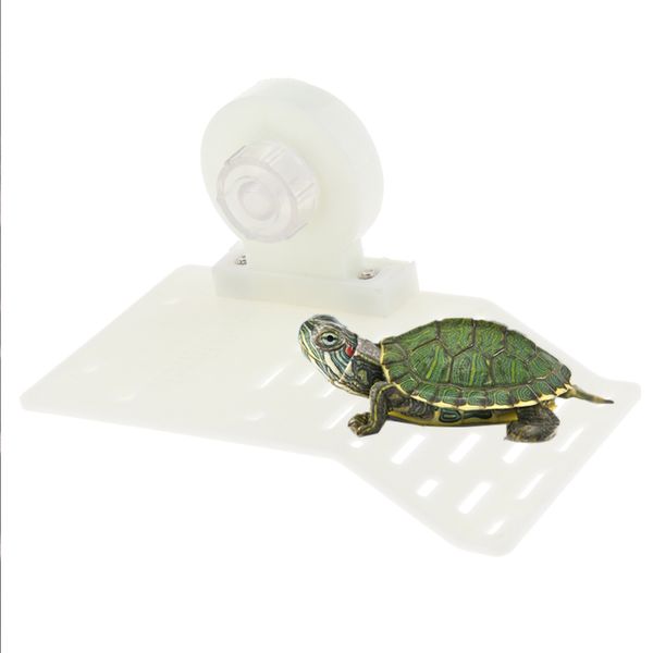 reptile turtle pier terrarium tortoise basking ramp platform