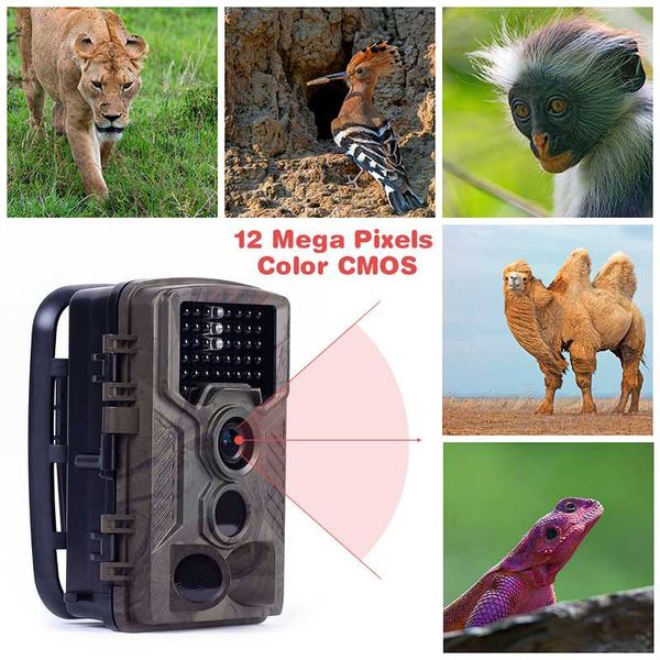 hc800m 12mp 940nm hunting cameras mms gprs digital trail scouting camera p trap infrared night vision wildlife trail camera
hc800m 12mp 940nm hunting cameras mms gprs digital trail scouting camera p trap infrared night vision wildlife trail camera