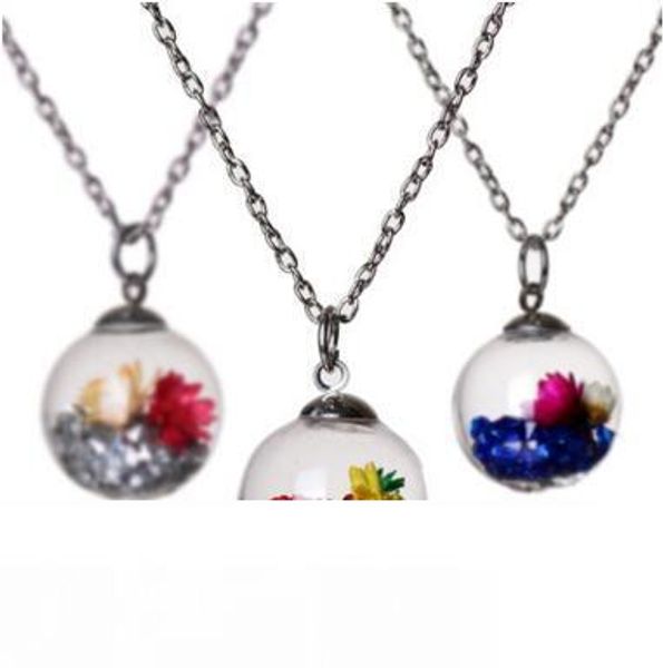 13 colors wish wishing message drift bottle pendants crystal locket dried flower necklace for women float locket wishing bottle necklaces, Silver
13 colors wish wishing message drift bottle pendants crystal locket dried flower necklace for women float locket wishing bottle necklaces, Silver