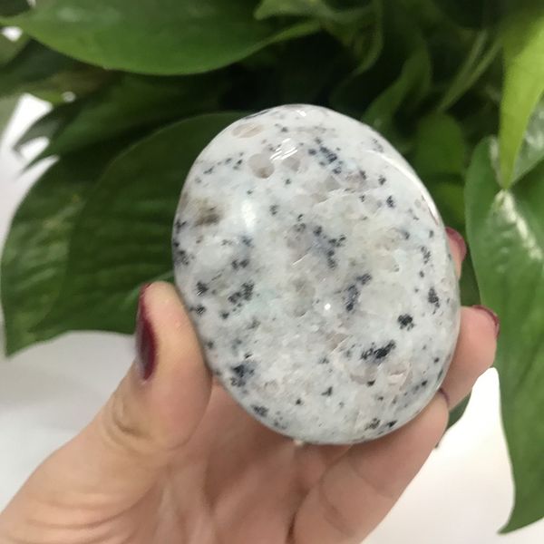 palm stone natural kiwi jasper healing quartz crystal portable lettering reiki chakra treatment minerals stones tp other home decor
palm stone natural kiwi jasper healing quartz crystal portable lettering reiki chakra treatment minerals stones tp other home decor