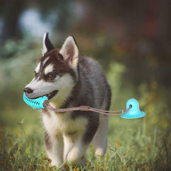 2020 новых pet молярной укус игрушки chew игрушка пол присоска собака chew tug toy зуб clean болл puppy treat обучение rubber игрушки
2020 новых pet молярной укус игрушки chew игрушка пол присоска собака chew tug toy зуб clean болл puppy treat обучение rubber игрушки