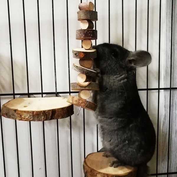 pet molar string teeth care rodent natural chewing toy hanging biting rabbits training multifunction dental health wooden
pet molar string teeth care rodent natural chewing toy hanging biting rabbits training multifunction dental health wooden