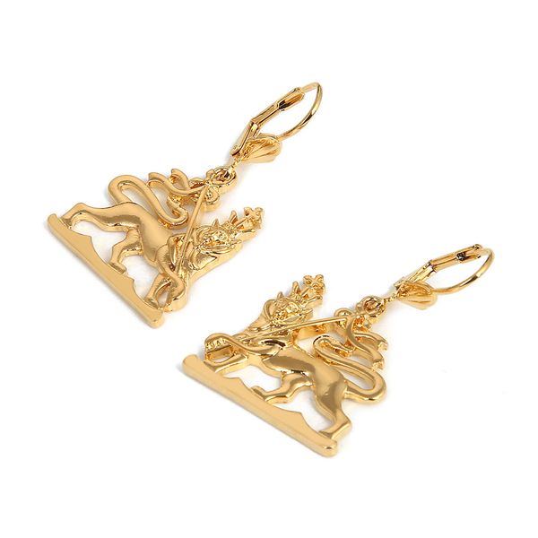 ethiopian lion map earrings for women girls arab african jewelry gift wholesale, Silver
ethiopian lion map earrings for women girls arab african jewelry gift wholesale, Silver