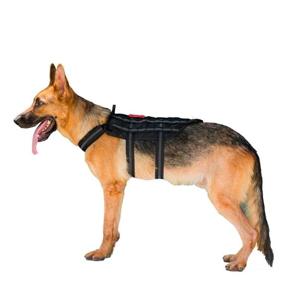 onetigris tactical reflective mesh harness for dogs comet farer k9 mesh harness training vest for walking the dog, Camo;black
onetigris tactical reflective mesh harness for dogs comet farer k9 mesh harness training vest for walking the dog, Camo;black