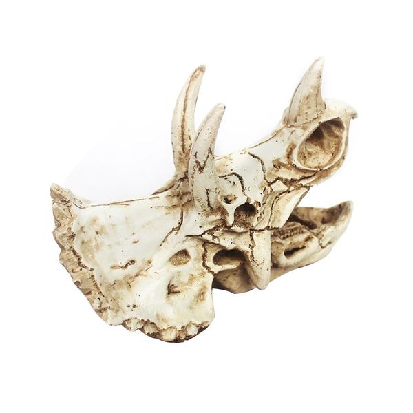dinosaur skull reptile evasion house lizard house beautification decoration simulated dinosaur egg fossil aquarium decoration
dinosaur skull reptile evasion house lizard house beautification decoration simulated dinosaur egg fossil aquarium decoration