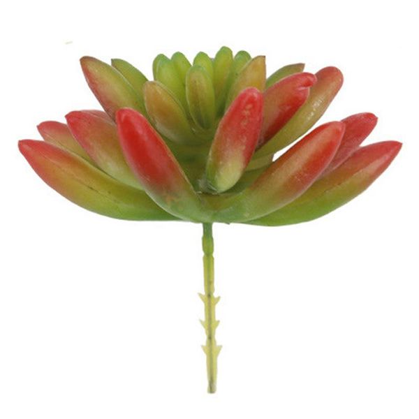 creative indoor succulents micro landscape decoration artificial plants garden decoration micro landscape
creative indoor succulents micro landscape decoration artificial plants garden decoration micro landscape