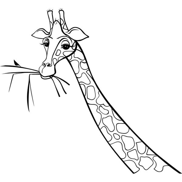 16*14.6cm new style giraffe head motorcycle suvs bumper car window lapcar stylings car decor
16*14.6cm new style giraffe head motorcycle suvs bumper car window lapcar stylings car decor