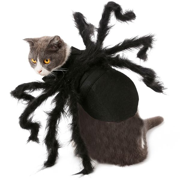 pet dogs cats cosplay spider clothes pet halloween costume for dog cat spider bat festival party role play dressing up clothes
pet dogs cats cosplay spider clothes pet halloween costume for dog cat spider bat festival party role play dressing up clothes
