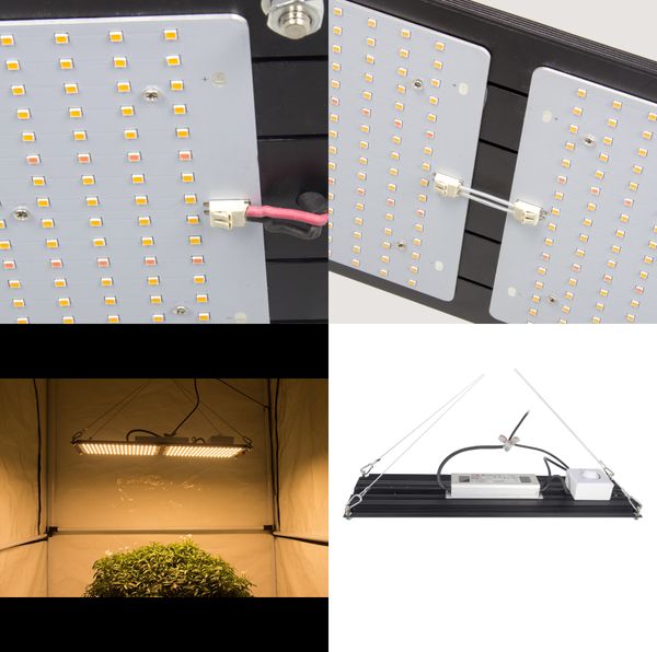 новый в последней diy дизайн 120w samsung 561c + 3500k полный спектр лампы роста растений в помещении парниковых посадок лекарственных расте
новый в последней diy дизайн 120w samsung 561c + 3500k полный спектр лампы роста растений в помещении парниковых посадок лекарственных расте