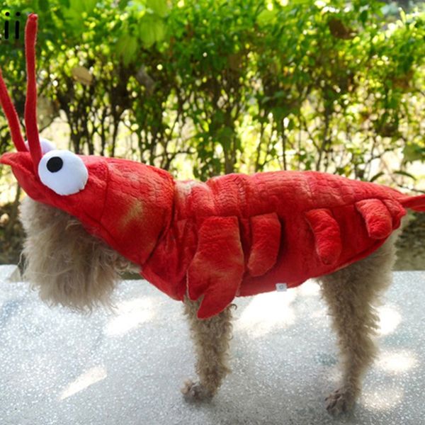 halloween lobster shape costume for pet dogs winter dog clothes red dog puppy jacket coat hoodie halloween pet dress up clothing
halloween lobster shape costume for pet dogs winter dog clothes red dog puppy jacket coat hoodie halloween pet dress up clothing
