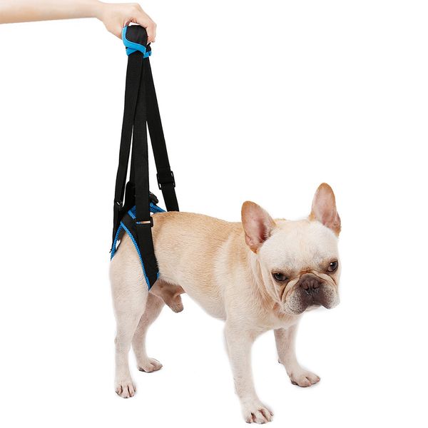 регулируемые ремни поддержка домашних собак balance harness слинг собаки lift harness собаки ног brace pet упражнение assisant инструмент
регулируемые ремни поддержка домашних собак balance harness слинг собаки lift harness собаки ног brace pet упражнение assisant инструмент