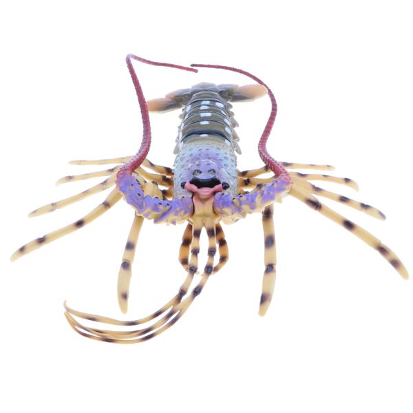 15-дюймовый coral lobster модель marine фигурку, наука обучающие игрушки для детей, коллекционные home decor
15-дюймовый coral lobster модель marine фигурку, наука обучающие игрушки для детей, коллекционные home decor