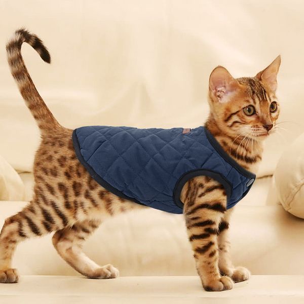 french bulldog clothes warm pet jacket winter dog pet clothes dog coat puppy cothes for small dogs chihuahua yorkshire pug
french bulldog clothes warm pet jacket winter dog pet clothes dog coat puppy cothes for small dogs chihuahua yorkshire pug