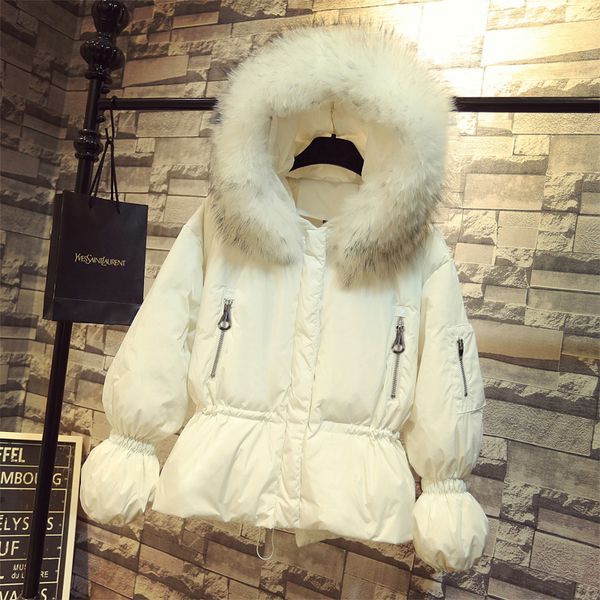 2019 new winter down jacket female short big fur collar thick loose jacket winter down coat women fashion women outerwear black
2019 new winter down jacket female short big fur collar thick loose jacket winter down coat women fashion women outerwear black