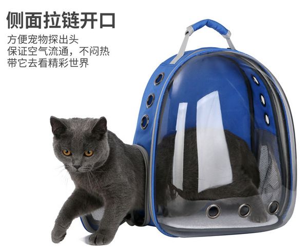 breathable portable pet carrier bag outdoor travel puppy cat bag transparent space pet backpack capsule
breathable portable pet carrier bag outdoor travel puppy cat bag transparent space pet backpack capsule