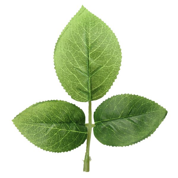 50 pieces silk artificial foliage leaves for wedding bouquet decoration headbands hats clothes scrapbook pages diy wreath
50 pieces silk artificial foliage leaves for wedding bouquet decoration headbands hats clothes scrapbook pages diy wreath