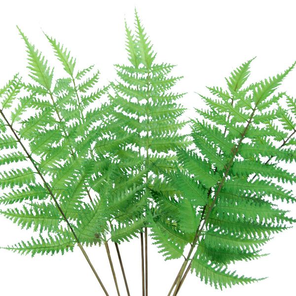 10pcs/lot fern grass leaf plastic artificial flowers decorative leaves fake plant garden jungle party decor greens wholesale
10pcs/lot fern grass leaf plastic artificial flowers decorative leaves fake plant garden jungle party decor greens wholesale