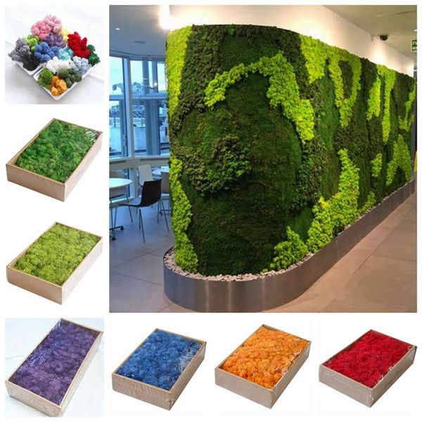 500g/lot immortal flower moss colorful natural decorative green plants diy flower grass wall decoration plant
500g/lot immortal flower moss colorful natural decorative green plants diy flower grass wall decoration plant