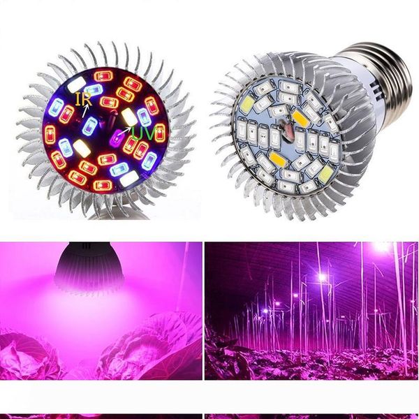 10w led grow bulb light e27 e14 gu10 led grow light spectrum lamp 28leds smd 5730 plant grow light ac 85-265v
10w led grow bulb light e27 e14 gu10 led grow light spectrum lamp 28leds smd 5730 plant grow light ac 85-265v